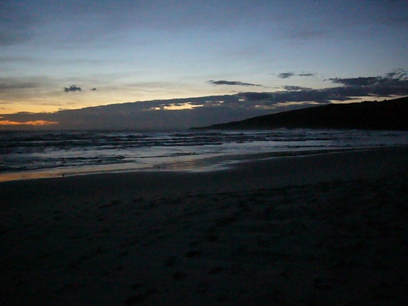 Travel - New Zealand - Sandfly Bay, Dunedin